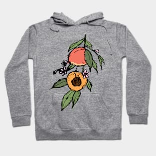 Peach branch sketch Hoodie